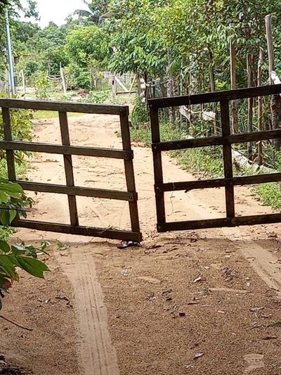 Terreno, 24 hectares - Foto 2