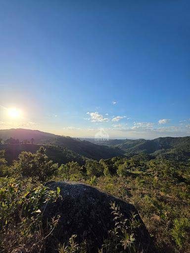 Terreno, 2 hectares - Foto 4