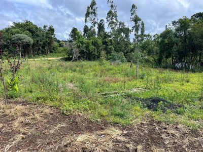 Terreno, 1300 m² - Foto 1