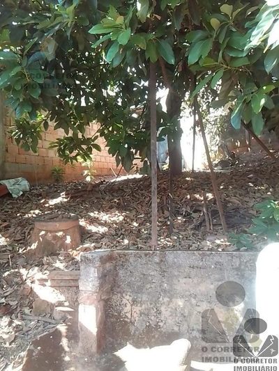 Casa, 2 quartos, 300 m² - Foto 3