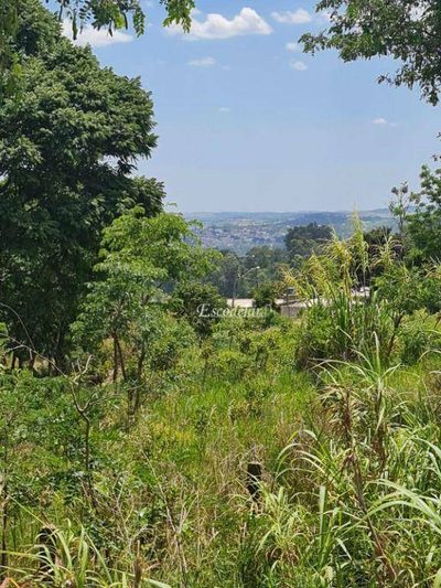 Terreno, 2 hectares - Foto 3