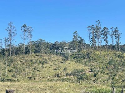 Fazenda, 98 hectares - Foto 2