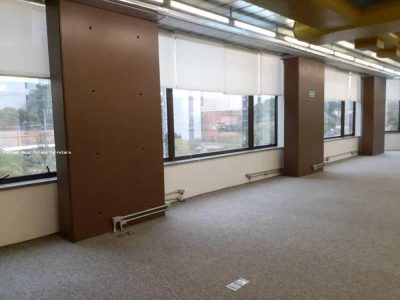 Sala-Conjunto, 586 m² - Foto 3