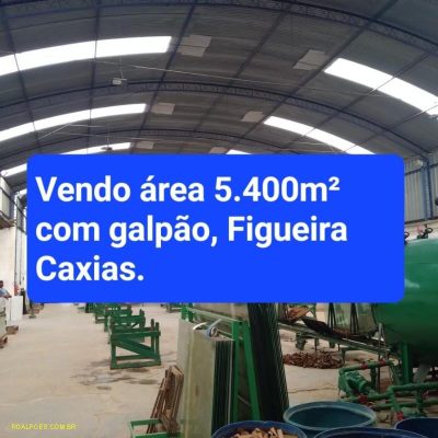 Depósito-Galpão, 5400 m² - Foto 3