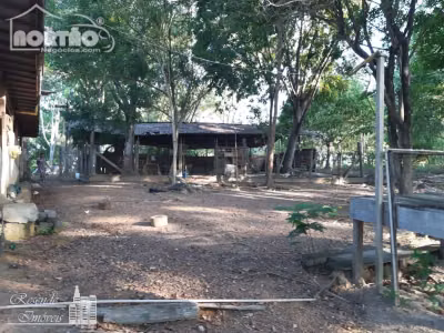 Casa, 4 quartos, 43000 m² - Foto 2