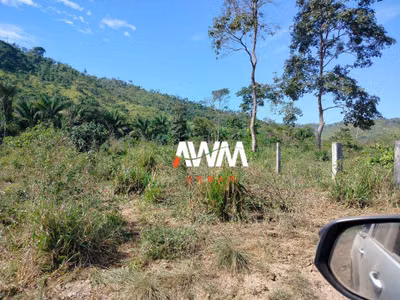 Fazenda, 222 hectares - Foto 3