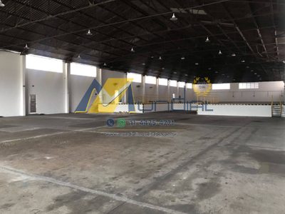 Depósito-Galpão, 3000 m² - Foto 3