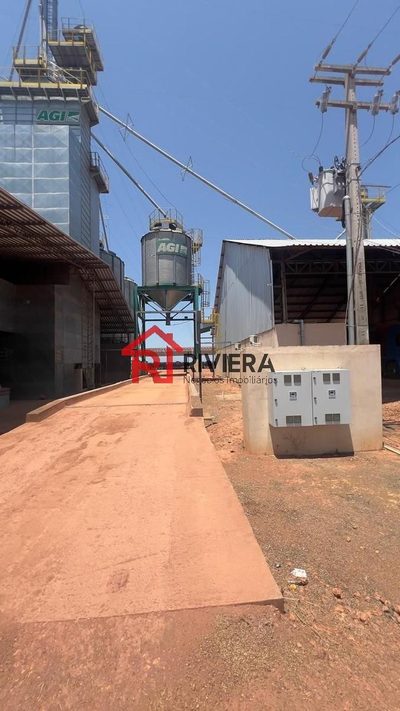 Fazenda, 8 quartos - Foto 4