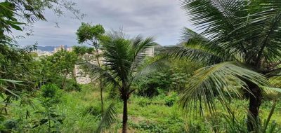 Terreno, 8000 m² - Foto 3