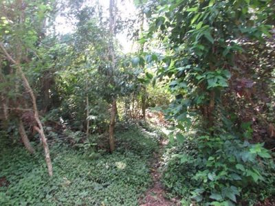 Terreno, 500 m² - Foto 3
