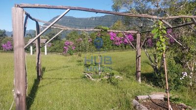 Terreno, 3 hectares - Foto 2