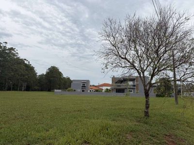 Terreno, 650 m² - Foto 4