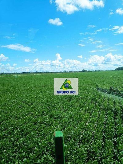 Fazenda, 673 hectares - Foto 5