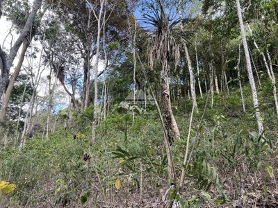 Terreno, 1 hectares - Foto 3