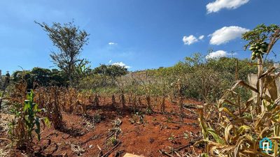 Terreno, 360 m² - Foto 4
