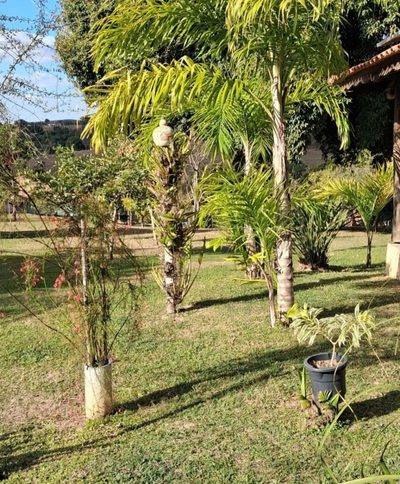 Fazenda, 5000 m² - Foto 3