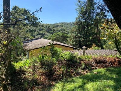 Sítio, 3 quartos, 340 m² - Foto 4