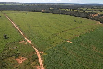 Fazenda, 7937 m² - Foto 1