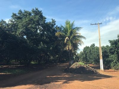 Terreno, 25 hectares - Foto 1