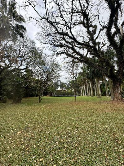 Chácara, 5 quartos, 1 hectares - Foto 4