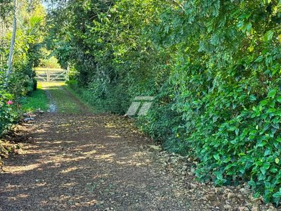 Sítio, 3 hectares - Foto 4