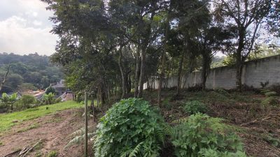 Terreno, 650 m² - Foto 2
