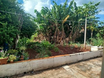 Casa, 4 quartos, 97 m² - Foto 2