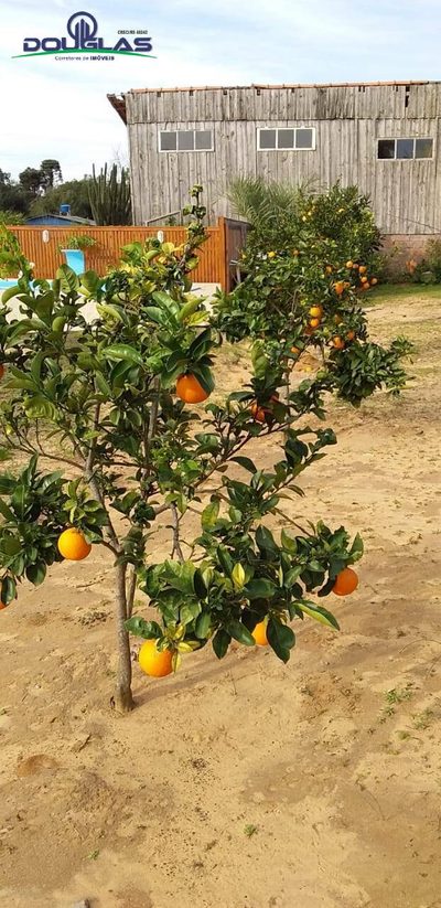 Terreno, 600 m² - Foto 4