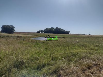 Sítio, 18 hectares - Foto 5