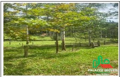 Terreno, 333 hectares - Foto 4