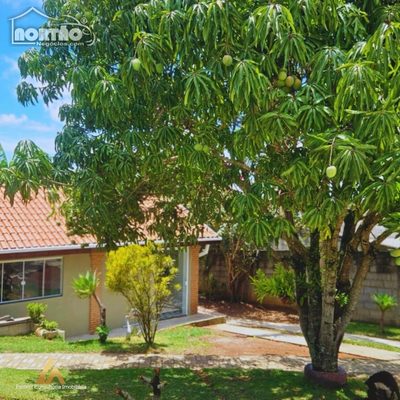 Casa, 3 quartos, 1250 m² - Foto 2