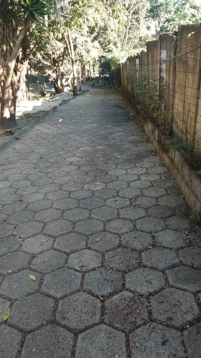 Sítio, 3 quartos, 5100 m² - Foto 3