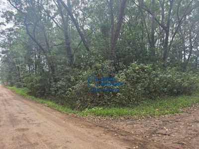 Terreno, 560 hectares - Foto 2