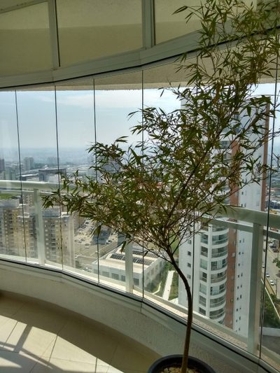 Apartamento, 3 quartos, 236 m² - Foto 4