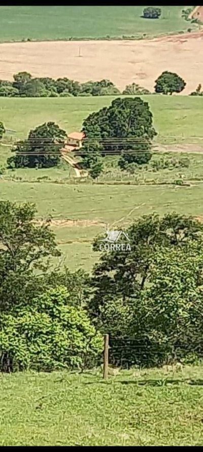 Fazenda, 97 hectares - Foto 4