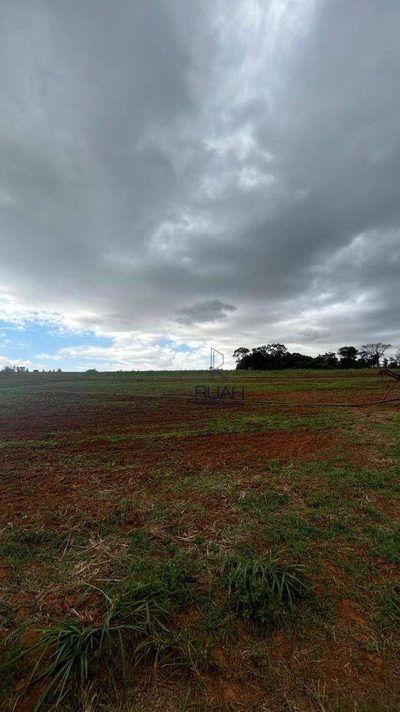 Terreno, 4 hectares - Foto 4