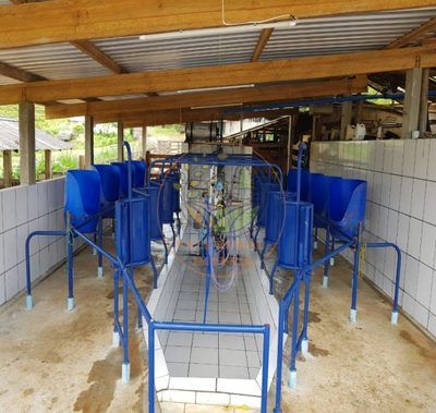 Fazenda, 317 m² - Foto 4
