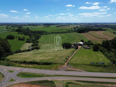 Sítio, 5 quartos, 40 hectares - Foto 3