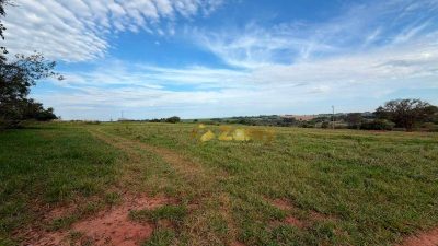 Chácara, 4 hectares - Foto 4
