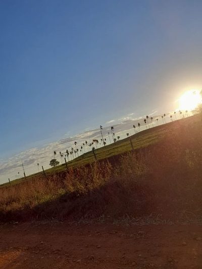 Fazenda, 1210 hectares - Foto 3