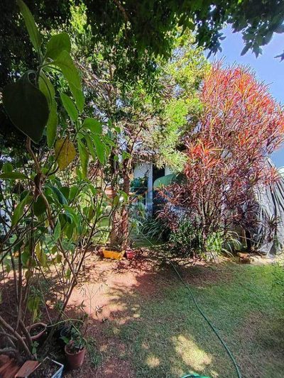 Chácara, 3 quartos, 1200 m² - Foto 3