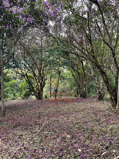 Terreno, 900 m² - Foto 4