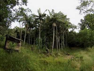 Sítio, 6679 m² - Foto 2