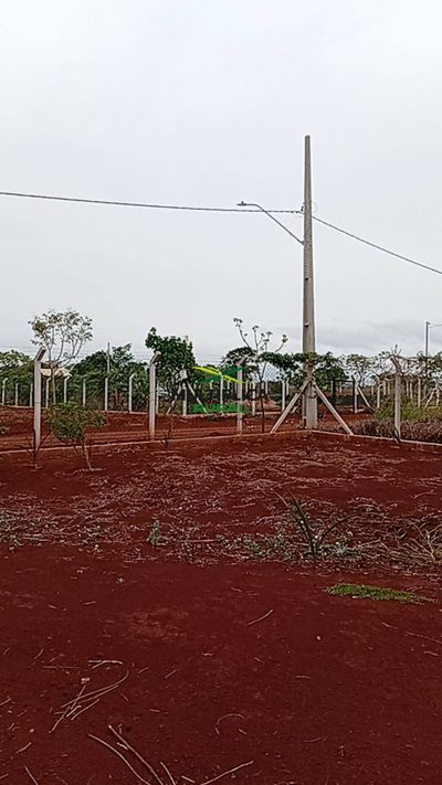Depósito-Galpão - Foto 5