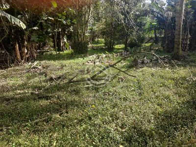 Terreno, 1000 m² - Foto 3