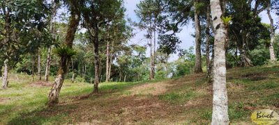 Terreno, 3 hectares - Foto 2