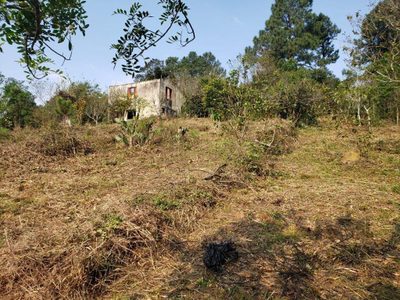 Terreno, 2002 m² - Foto 4