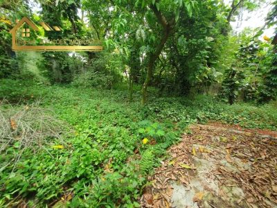 Terreno, 2800 m² - Foto 1