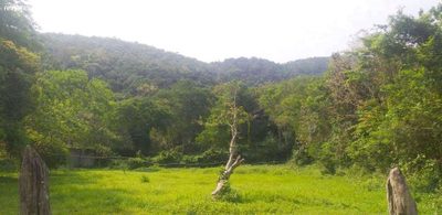 Terreno, 2 hectares - Foto 1