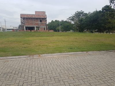 Terreno, 300 m² - Foto 3